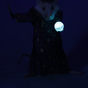 Taxidermie Rat Magicien – Petit Rat Anthropomorphique – Curiosité – Fait Main France