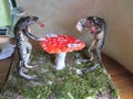 taxidermy frog card player toad taxidermy frog poker curiosity oditties