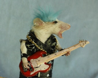 taxidermy rat punk guitar rock star taxidermy rat punk rocker cabinet of curiosities eddies
