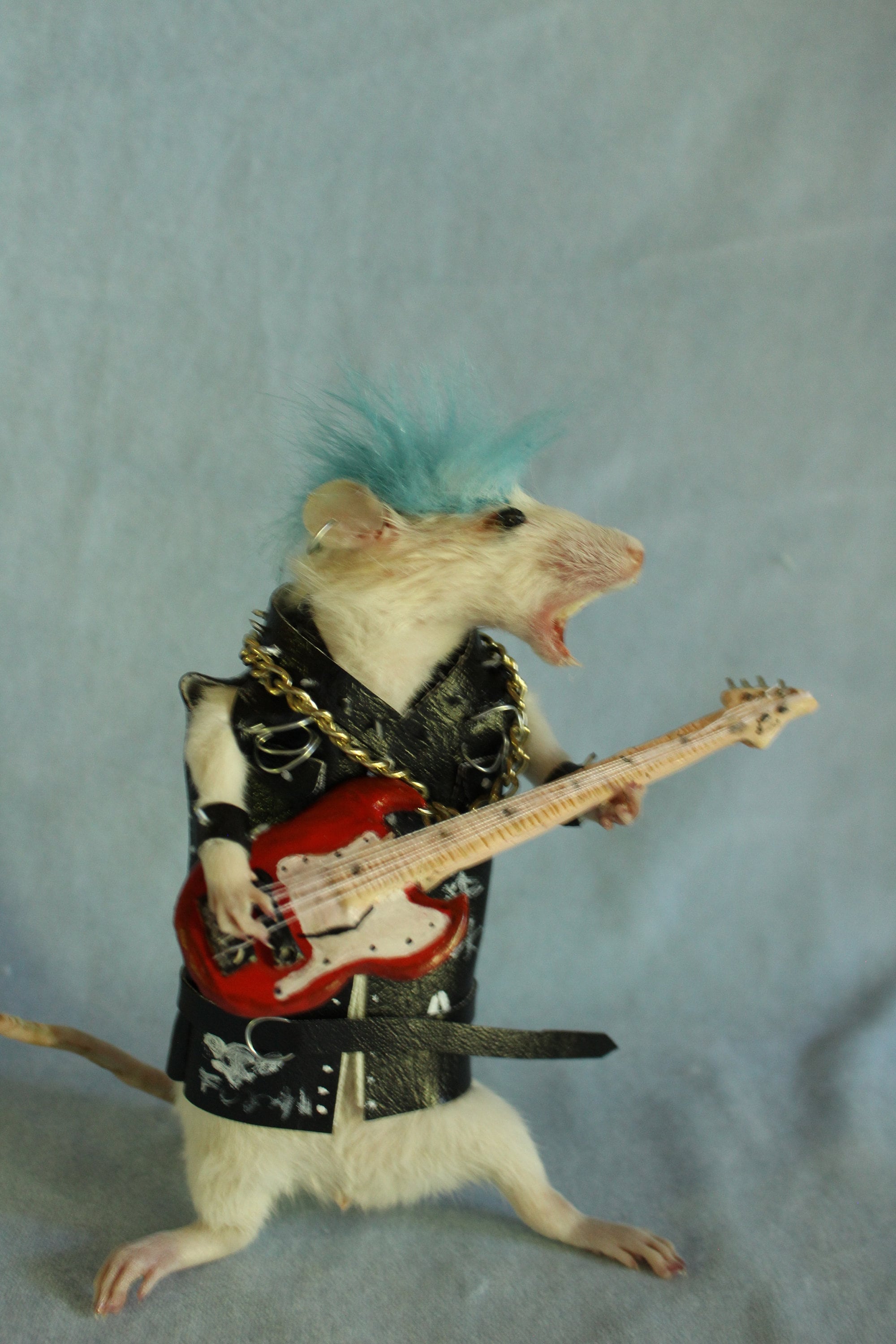 Taxidermy Rat Punk Guitar Rock Star Taxidermy Rat Punk Rocker