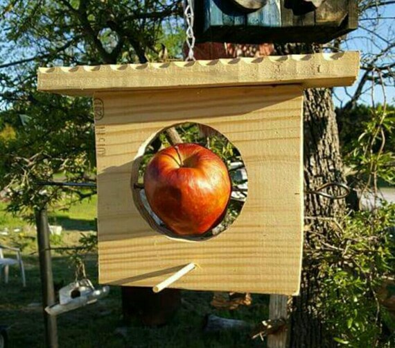 Bird Feeders Fruit Feeder Home Decor Garden Feeder Unique Etsy