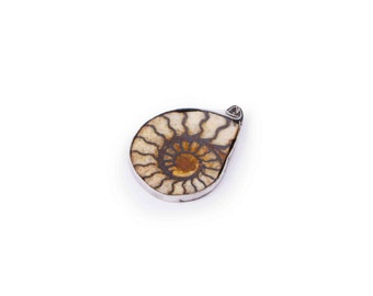 Ammonite Fossil Pendant