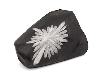 Op de afbeelding: Een donkergrijze steen met een wit, gestileerd bloemmotief. Het ontwerp is gecentreerd op de steen en heeft een symmetrisch, stralend patroon. De steen heeft een ruwe, natuurlijke textuur.