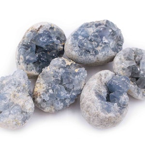 May include: Six blue celestite crystal clusters, each with a unique shape and size, are arranged on a white background. The crystals have a natural, rough texture and a light blue color.