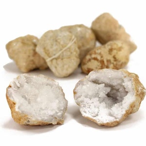 May include: A group of brown geode crystals, some are whole and some are broken open to reveal the white quartz crystals inside.