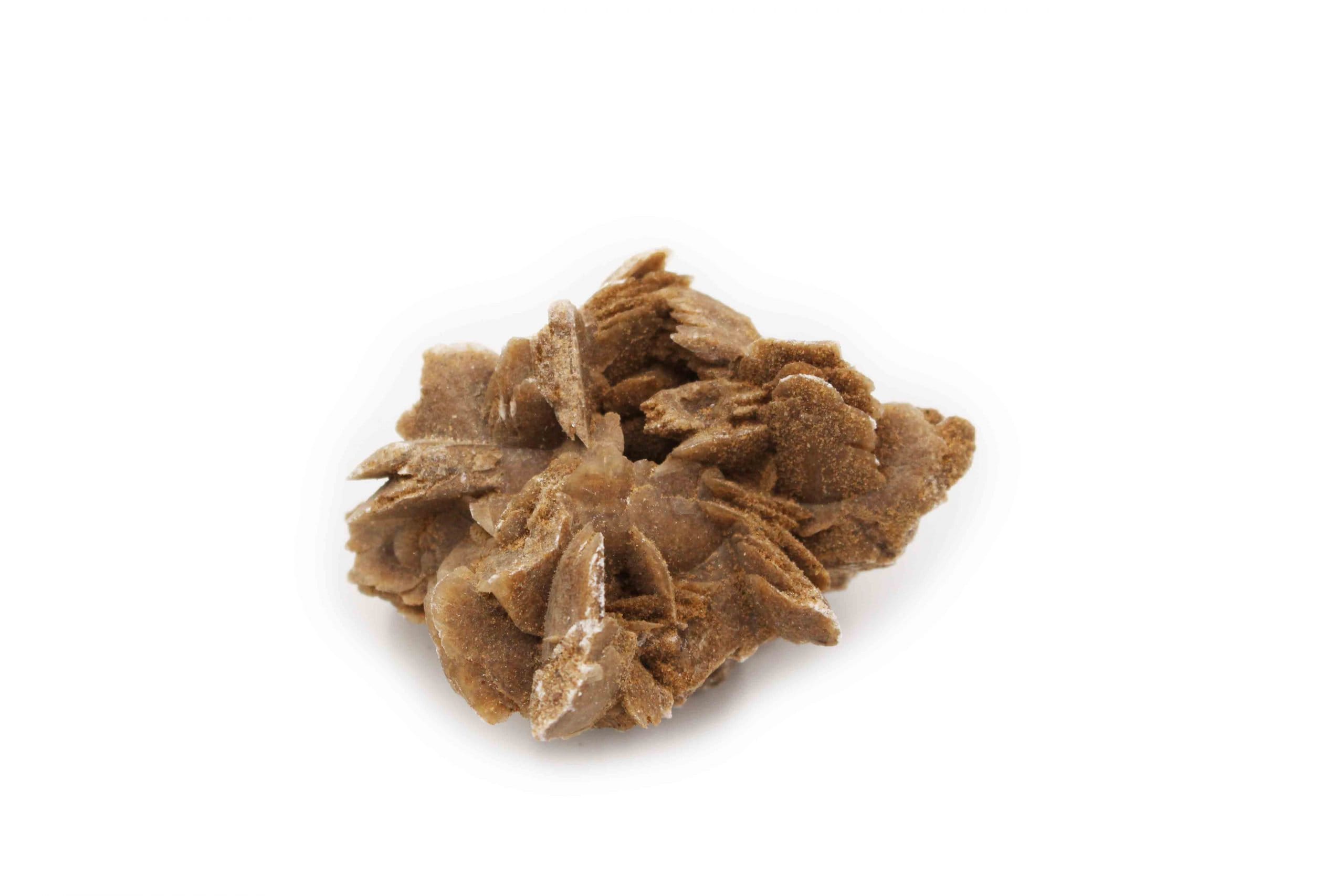 desert rose toy eskies Rose Vibrator Toys main image 0