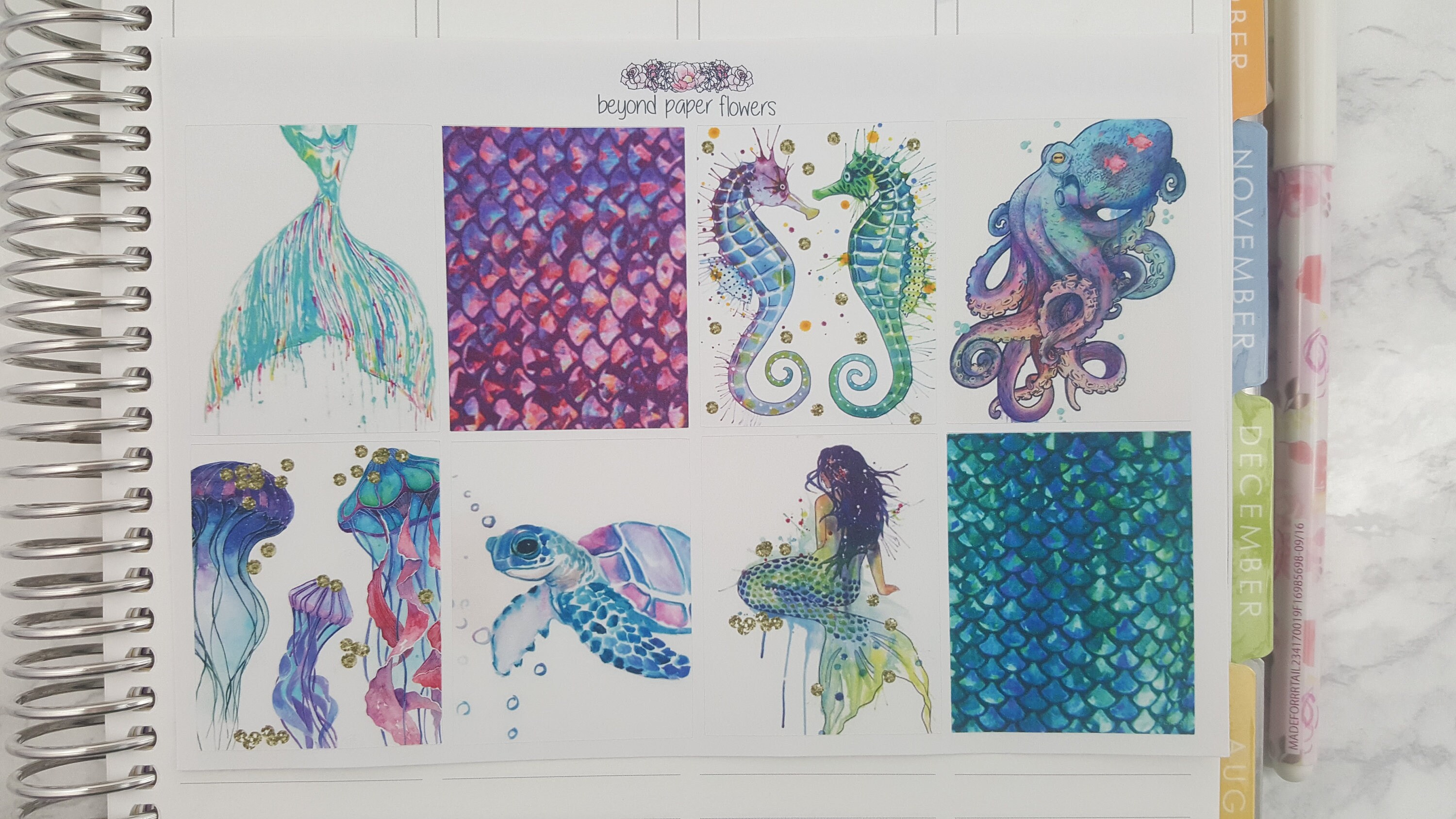 Ocean Life Full Box Stickers