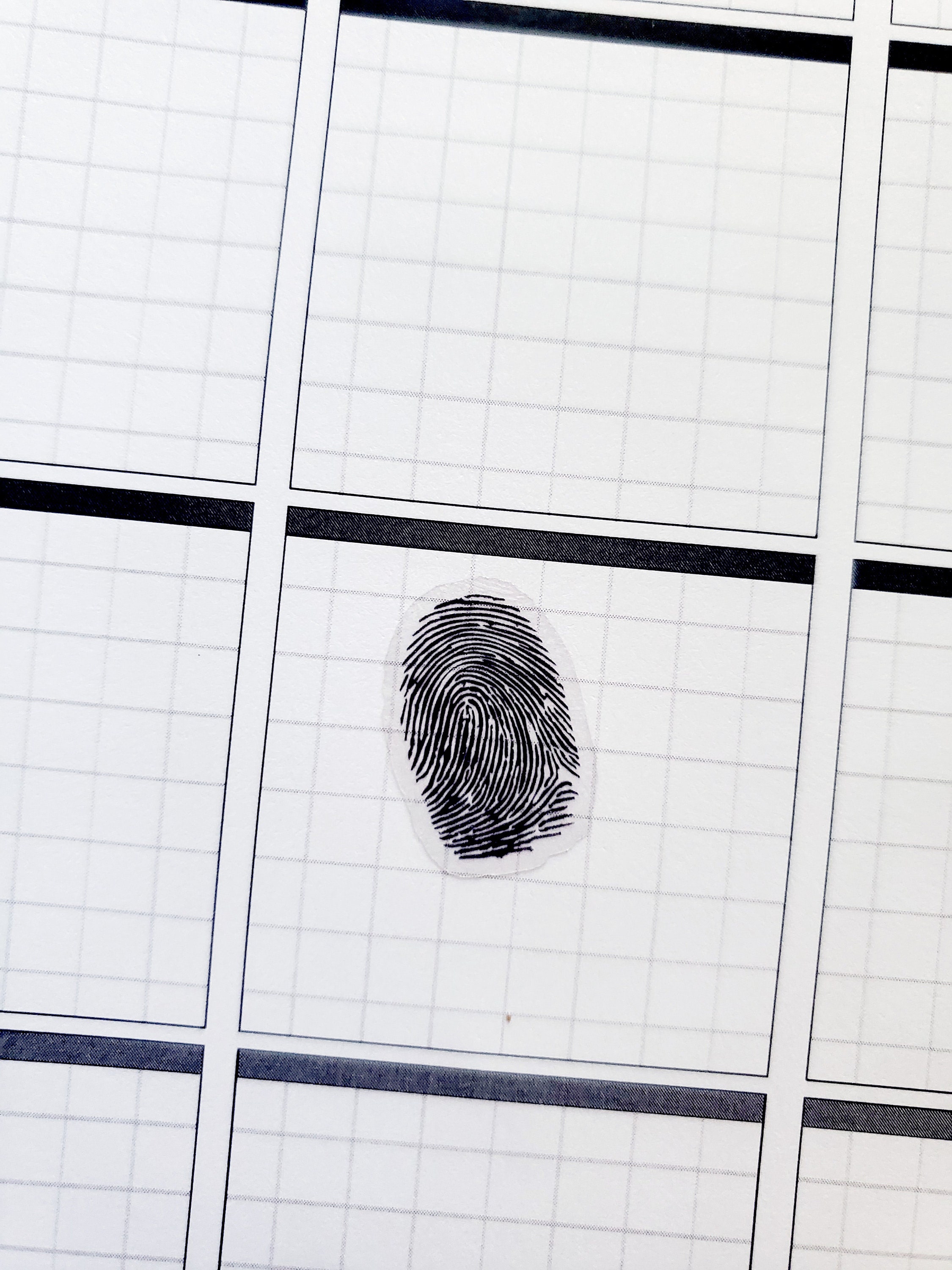 Clear Finger Print Sticker Sheet - Etsy