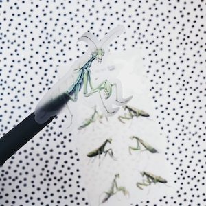 May include: A sheet of clear stickers featuring multiple illustrations of praying mantises in various poses. The mantises are depicted in shades of green and brown, with intricate details of their legs, wings, and antennae.