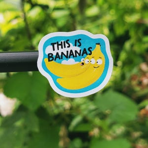 This Is Bananas Deco Stickers