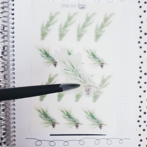 Pine Branch Frosted Clear Deco Stickers