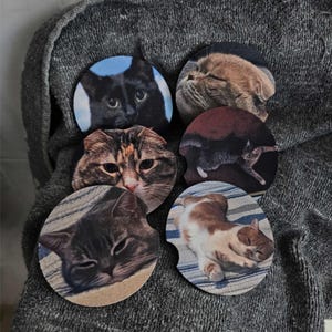 May include: A set of five circular car coasters featuring various cat portraits. The designs include a black cat, a brown tabby, a calico cat, a sleeping grey tabby, and a ginger and white cat resting on a striped surface, all with notched edges.