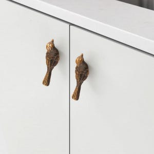 Könnte beinhalten: Zwei bronzefarbene Schrankknöpfe in Vogelform mit detaillierter Federstruktur. Jeder Vogel ist vertikal mit dem Kopf nach oben ausgerichtet und weist eine metallische Oberfläche sowie eine realistische skulpturale Form an weißen Schranktüren auf.
