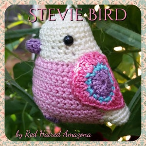 Stevie the Amigurumi Bird crochet pattern