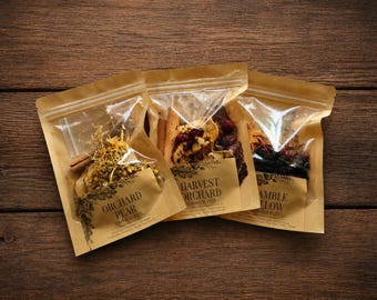 Woodland Gathering Fall Scents Simmer Pot Kit Collection