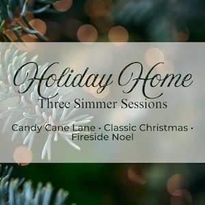 Simmer Pot Kit Sampler | Single-Use Home Fragrance Packs | Seasonal Scent Trio Gift