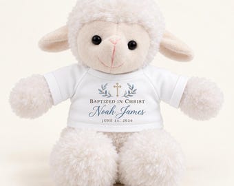Personalized Baptism Stuffed Animal | Baptized in Christ Custom Name Gift, Blue