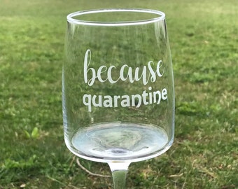 Funny Quarantine Drinking Glass, Quarantine Gift, Funny Wine Glass, Gift for Friends, Custom Etched Glass, Personalized Gift