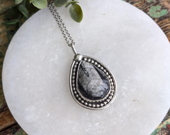 Orthoceras Fossil Sterling Silver Necklace Mother's Day Gift for Her