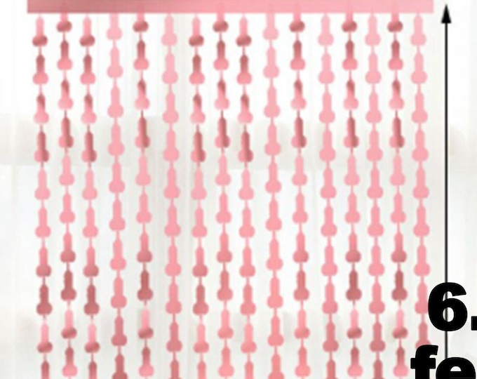 Bachelorette Party Decor, a Metallic Curtain  Perfect for Bachelorette Party Favor- Fringe Backdrop Decor, Bachelor party penis dick