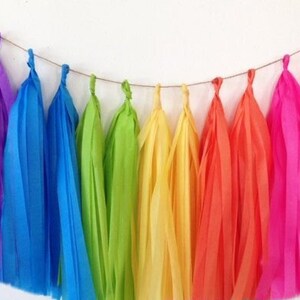 May include: A rainbow tissue paper tassel garland with purple, blue, green, yellow, orange, and pink tassels.