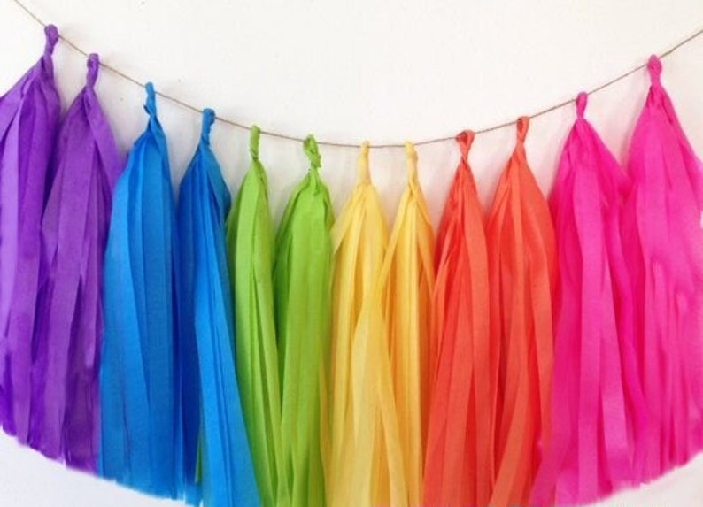 May include: A rainbow tissue paper tassel garland with purple, blue, green, yellow, orange, and pink tassels.