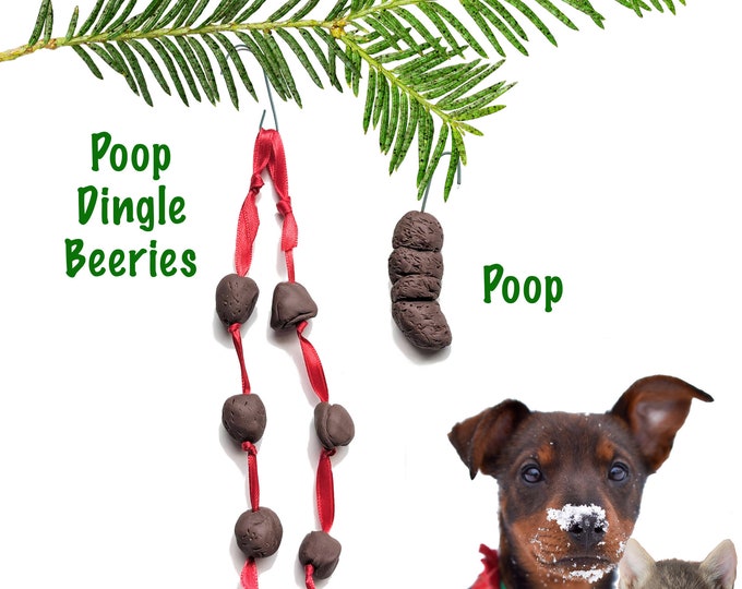 Dog poop ornament, Cat Poop Gag Gift, lcat, ady gift, inappropriate christmas party decorations, Christmas tree ornament, Funny Gift,