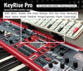 Nord Keyboards - KeyRise - MIDI - Controller, Foot Pedal, Guitar Pedal Support product logo