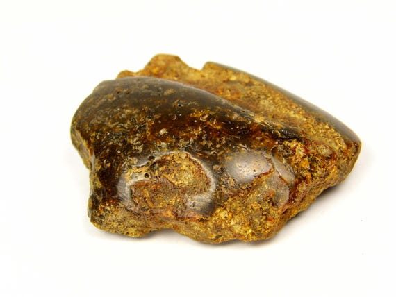 Big Large Baltic Amber Stone 41gr. Brown Green Black Natural Genuine Gemstone A0301