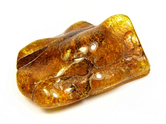 Natural Baltic Amber stone 26 grams polished brown 1169a