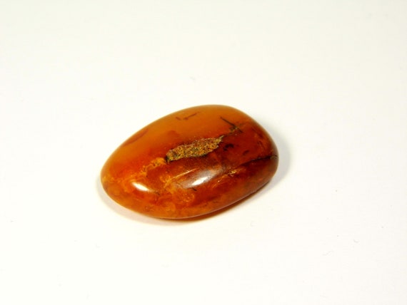 Baltic Amber Stone Magnet Souvenir Magnetic Natural Genuine Gemstone A0213