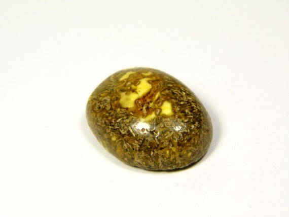 Baltic Amber Stone Magnet Souvenir Magnetic Natural Genuine Gemstone 5896