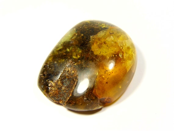 Baltic Amber Stone 13gr. Multicolor Natural Genuine Polished Gemstone 5271