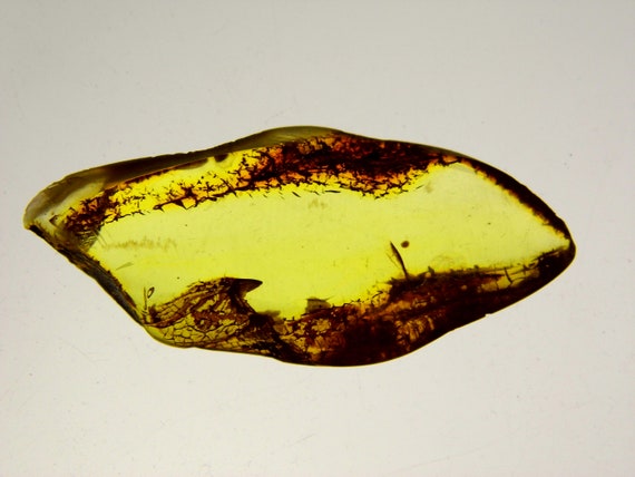 Baltic Amber Stone 4.7gr. Transparent Natural Polished Genuine Gemstone A0250
