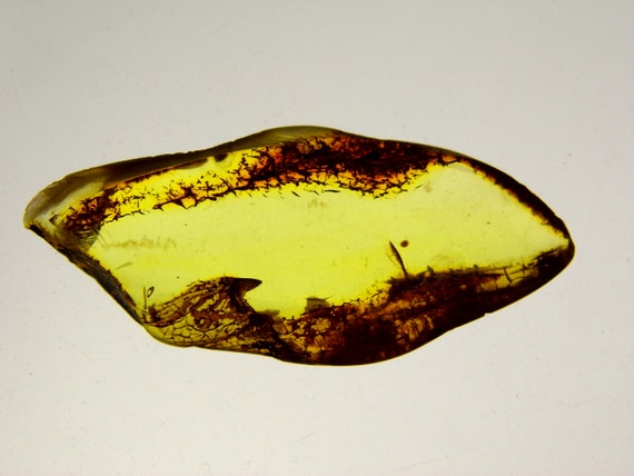 Baltic Amber Stone 4.7gr. Transparent Natural Polished Genuine Gemstone 6075