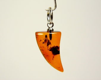Pendentif croc canin en ambre de la Baltique marron cognac, pierre précieuse naturelle transparente 5582