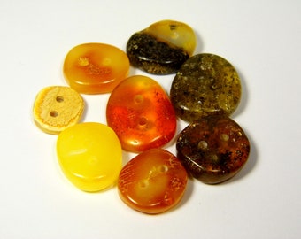 Lot of 8 Baltic Amber Buttons For Clothes Polished Multicolor Gemstone 5966