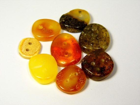 Lot of 8 Baltic Amber Buttons For Clothes Polished Multicolor Gemstone 5966