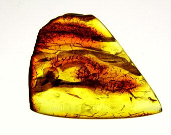 Baltic Amber Stone 9.7gr. Cognac Transparent Natural Polished Gemstone 6070