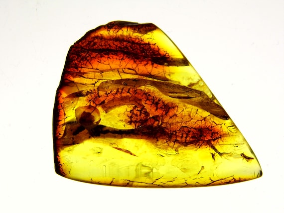 Baltic Amber Stone 9.7gr. Cognac Transparent Natural Polished Gemstone 6070