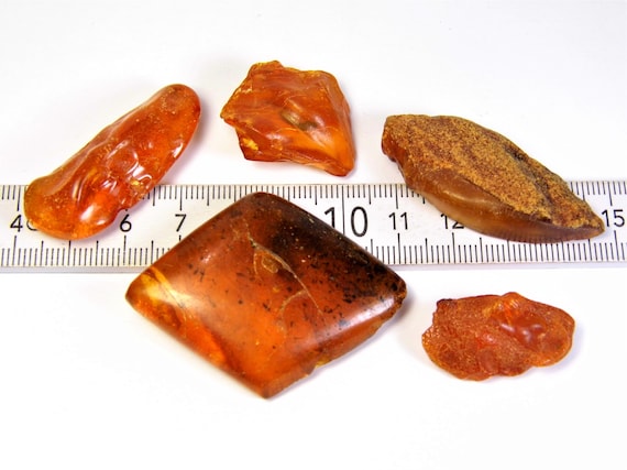 Lot of 5 old Baltic Amber vintage 20 grams natural stones A0007