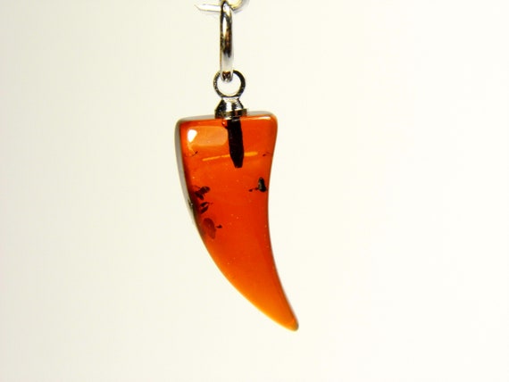 Baltic Amber Canine Fang Pendant Brown Cognac Transparent Natural Gemstone A0146