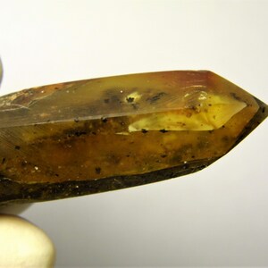 Natural Baltic Amber 10 grams unpolished stone point A0001