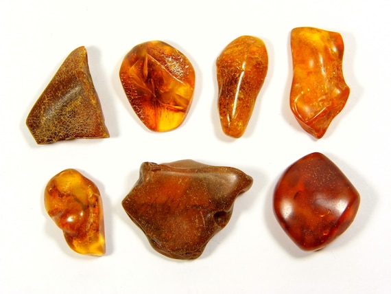 Lot of 7 Baltic Amber Stones 25gr. Brown Natural Genuine Gemstones Polished A0029