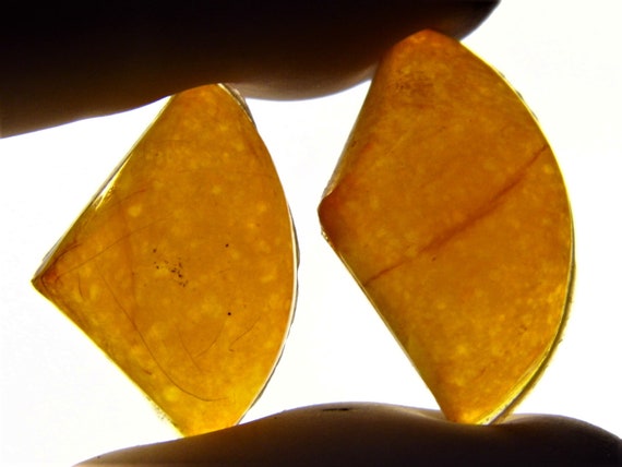 Lot of 2 pressed Baltic Amber vintage cabochons 2.4 grams 3154