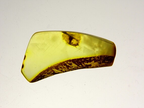 Baltic Amber Stone 2.9gr. Transparent Natural Polished Genuine Gemstone 6079