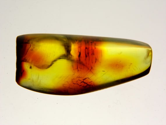 Baltic Amber Stone 5.8gr. Transparent Natural Polished Genuine Gemstone A0251