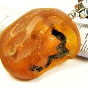 Vintage Baltic Amber Pendant Women&#39;s With Floral Fossil Inclusion A0002