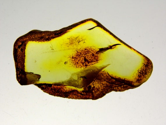 Baltic Amber Stone 5gr. Transparent Natural Polished Genuine Gemstone 6073