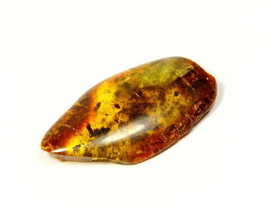 Baltic Amber Stone Cognac Transparent Natural Genuine Polished Gemstone 5276